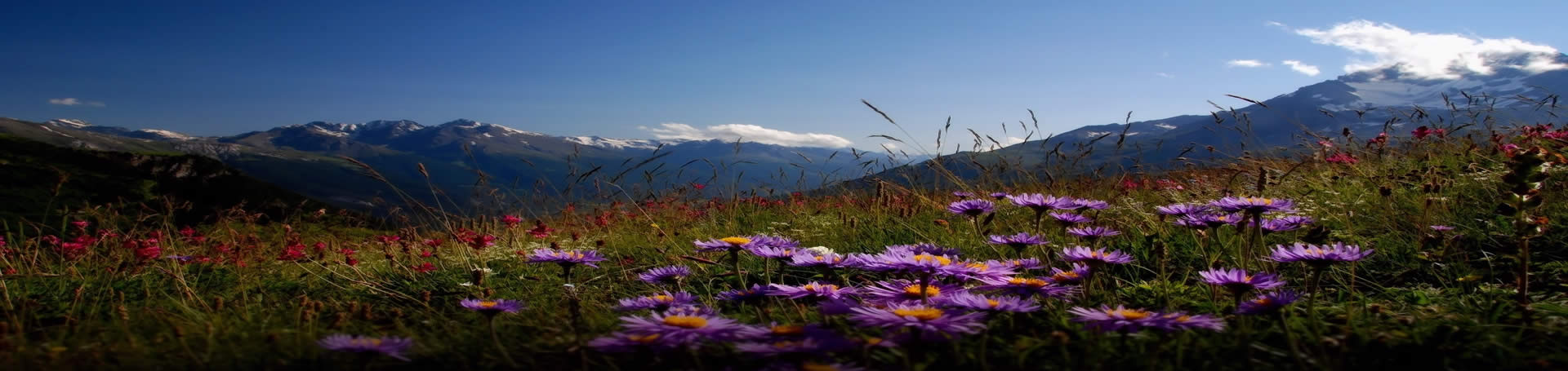 دره گل‌ های ارمنستان